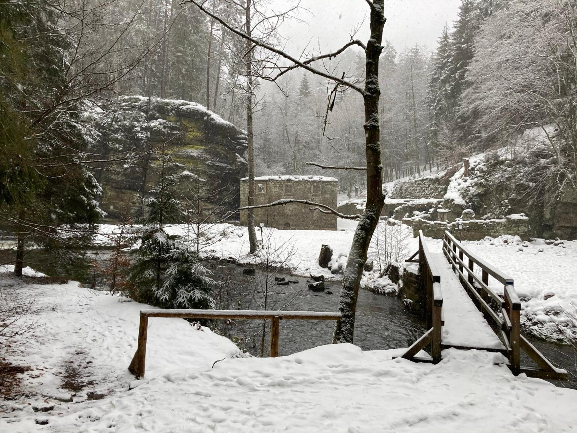 Jetřichovice Pension Hofberg المظهر الخارجي الصورة