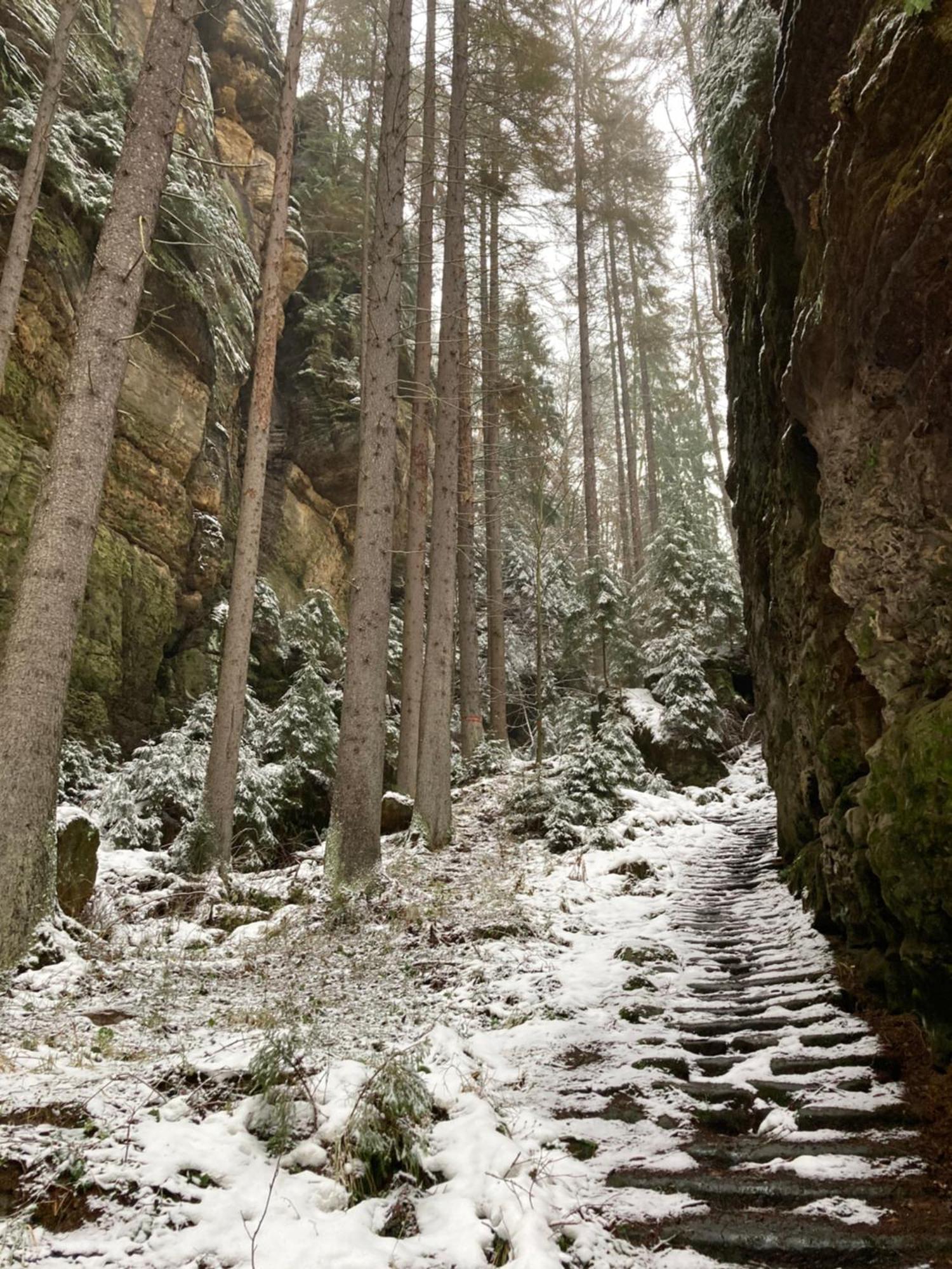 Jetřichovice Pension Hofberg المظهر الخارجي الصورة