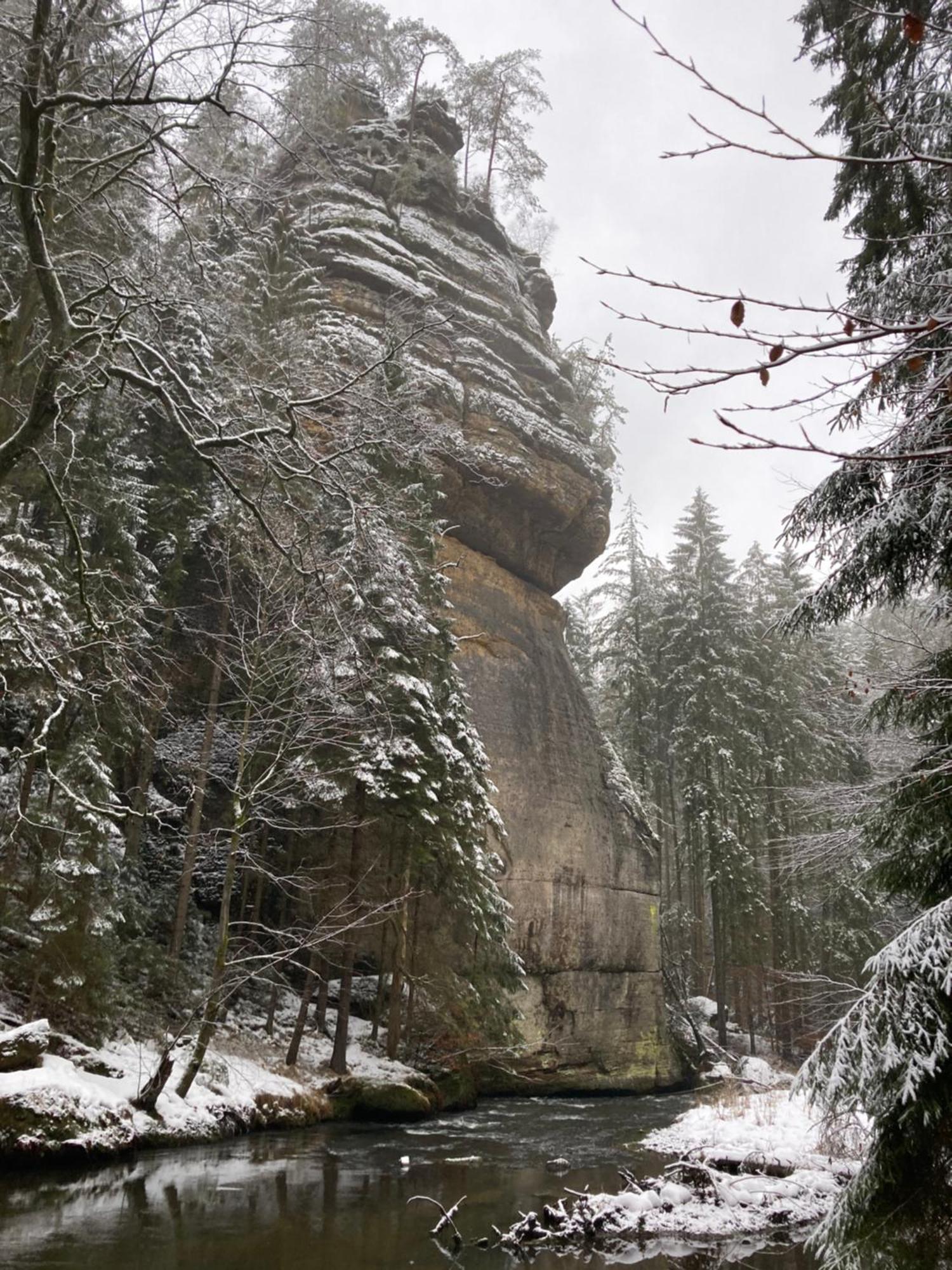 Jetřichovice Pension Hofberg المظهر الخارجي الصورة
